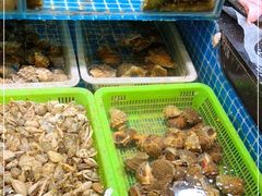 水产区-和源祥·日照菜扛把子(万平口一店)