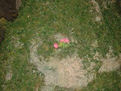 android_upload_pic-房山世界地质公园博物馆