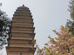 -洛阳白马寺