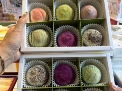 -好一朵茉莉花(老门东店)