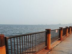 -东堤公园