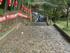 -宁波浙东大竹海景区