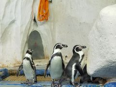 -太平洋海底世界