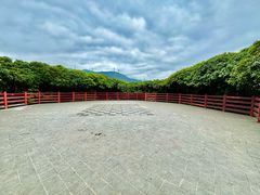 -阳台山森林公园