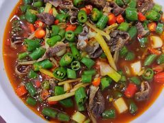 -糊涂兔毛毛菜(八里庄店)