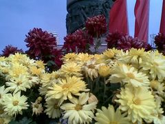 景点-人民防洪胜利纪念塔