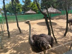 -西霞口神雕山野生动物世界