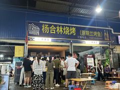 -杨合林啊兰烤鱼