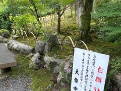 -天龙寺