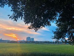 -光明小镇欢乐田园