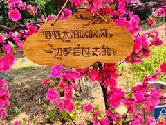 -北京凤凰岭