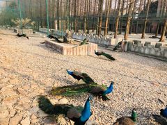 -南京金牛湖风景区