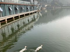 -安吉涵田度假村·水榭居中餐厅