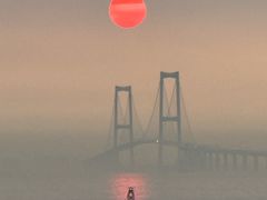 -宝安西湾红树林湿地公园