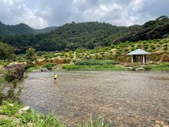 -广州市石门国家森林公园