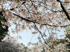 -杭州少年儿童公园