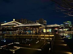 -洋湖国家湿地公园