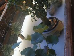 -三只耳火锅(宽窄巷子店)