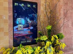 -BEAST野兽派(上海浦东嘉里城店)