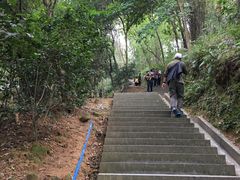 -广州市帽峰山景区