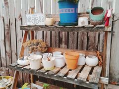 -新沙洞咖啡(泉乐坊店)