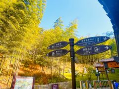 -宁波浙东大竹海景区