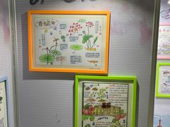 -上海昆虫博物馆