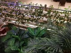 -特味村大酒店(南三环店)