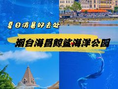 -烟台海昌鲸鲨海洋公园
