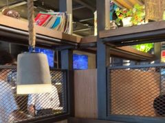 大堂-探鱼·鲜青椒爽麻烤鱼(广州欣荣广场店)