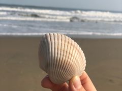 -东海岛旅游度假区