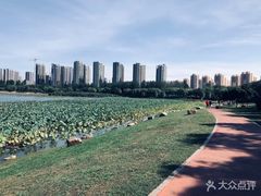 -丁香湖公园