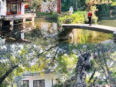 -广州兰圃