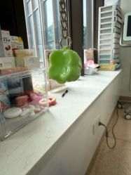 -睿宝儿科·眼科·口腔(杨浦新江湾城店)