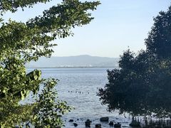 -深圳湾公园(南山区)