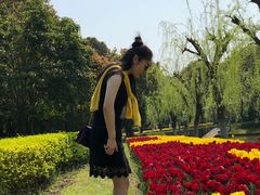 -上海鲜花港