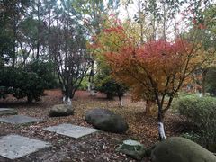 -上海滴水湖皇冠假日酒店