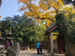 -青岛崂山太清宫