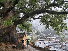 -杨家堂村