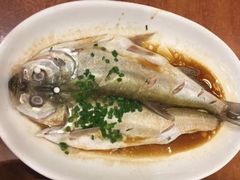清蒸鲜白鱼-西新饭店(城中店)