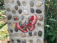 -中国科学院西双版纳热带植物园