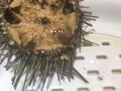 -苏大嘴海鲜牧场(奥林匹克店)