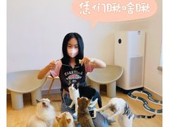 -有喵·猫咖·狗咖·30几只猫10只小狗(岗厦店)
