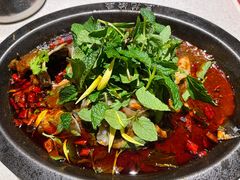 -黔渔翁豆花渎鱼(喷水池店)