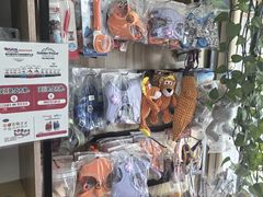 -中农大我爱我爱24h动物医院·中医针灸·猫专科·骨科医疗中心(双井店)