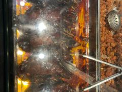 -乔波食品(杜桥中心菜场店)