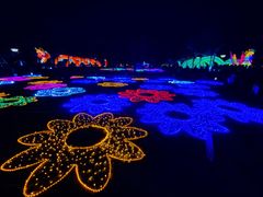 -眉山湿地公园(东坡区)