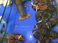 -山东八大碗山东老字号