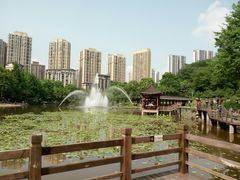 -龙头寺公园