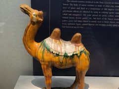 -镇江博物馆